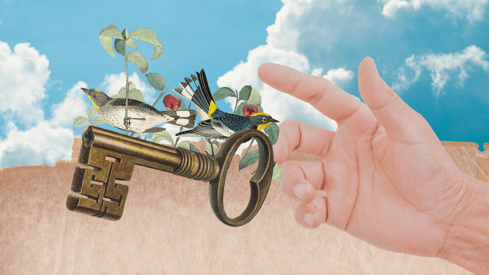 Collage proceso creativo